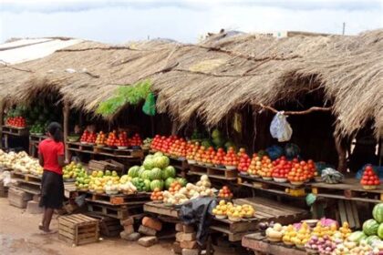 Adventures in the Traditional Villages and Markets of Zambia
