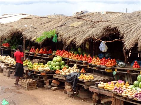 Adventures in the Traditional Villages and Markets of Zambia