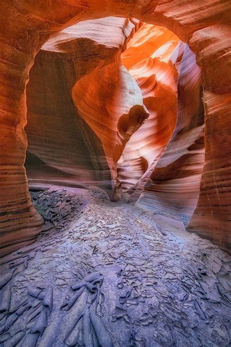 Exploring the Canyons of Arizona: A Journey through Desert Landscapes and Native American Heritage