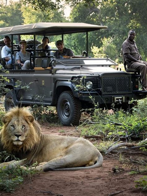 Safari Adventures in Kenya: Witnessing the Majesty of African Wildlife