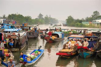 Exploring the Vibrant Markets of Vietnam