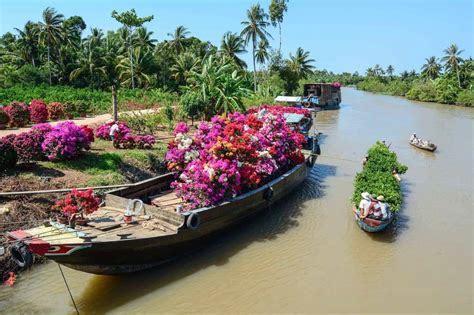 Exploring the Rural Charms of the Mekong Delta, Vietnam