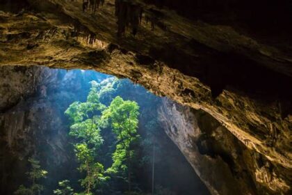 Exploring the Hidden Gems of Northern Thailand