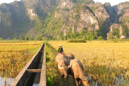 Exploring the Rural Charms of Ninh Binh, Vietnam