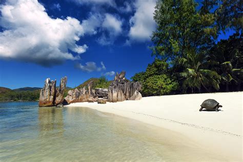 The Serenity of the Seychelles: Exploring the Indian Ocean Paradise