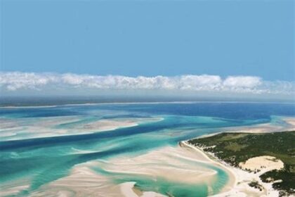 The Pristine Beaches of Mozambique: A Tropical Escape