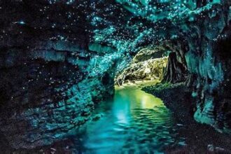 Exploring the Caves and Caverns of New Zealand: A Subterranean Adventure