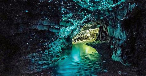 Exploring the Caves and Caverns of New Zealand: A Subterranean Adventure