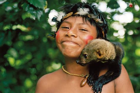 Adventures in the Amazon Rainforest: Wildlife, Rivers, and Indigenous Cultures