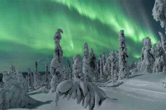 The Magic of the Northern Lights: A Winter Adventure in Lapland