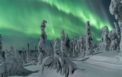 The Magic of the Northern Lights: A Winter Adventure in Lapland